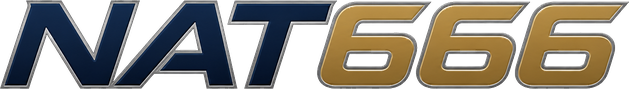 nat666 Logo